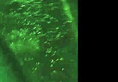 flashing big boobs while walking in public feels so naughty and exciting