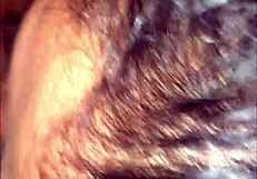 single mom sucks cock in taxi ride through lima streets 😎