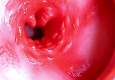 Большой красный хуй в сочной пизде вот-вот спустит сперму 😏