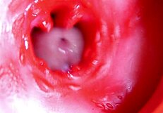 Großer roter Schwanz in saftiger Fotze gibt jederzeit Sperma 😏