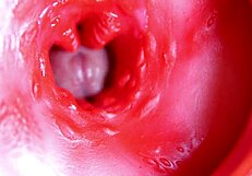 Большой красный хуй в сочной пизде вот-вот спустит сперму 😏