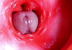 Une grosse bite rouge dans un trou juteux peut cracher du sperme n'importe quand 😏