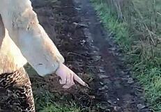 I Would Like to Go Shopping with You!