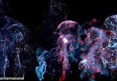 Elina Sansd's Hard Interracial Anal with Intense Action!