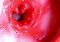 A big red cock inside a juicy hole can give sperm at any moment 😏