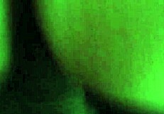 de perrito c�mo le gusta a esta amateur mexicana