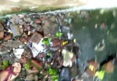 Bap Catches Stepson Fucking Stepmom in Jungle!