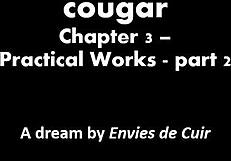 Becoming a cougar - chapter 3 - practical works - part 2.