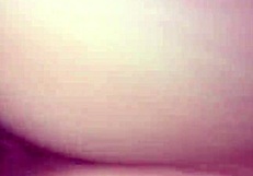 Teen Bent Over In Interracial Doggystyle!