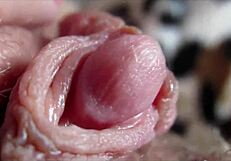 Detailed Closeup Of Big Clit Reaching Intense Orgasm