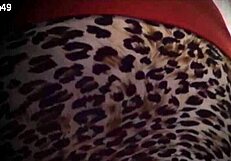 does my horny wife show leg and panties on normal day?