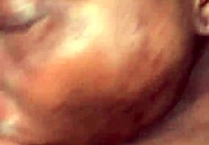 dick gobbler slurps big cock sloppy and wet