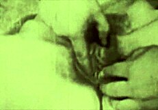 a night in a moorish harem by lord george herbert chapter one