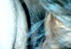 Ex's Whore Sucking My Dick!