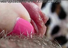 Detailed Closeup Of Big Clit Reaching Intense Orgasm
