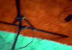 railing her bubble ass rome major creampies pawg fallon west