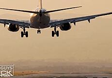 That's a wrap for live cams weekend scenes