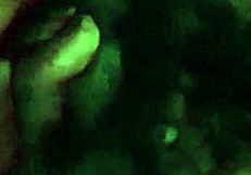 She enjoys random blowjob with toys