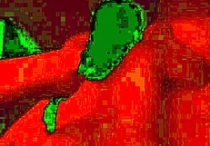 Jenny matteo pinay reverse cowgirl anal sex, her ass is so tight.