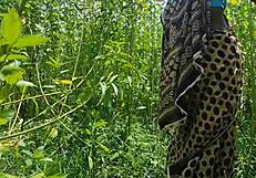 Desi Bhabhi Hard Fuck Outdoor Sex Videos Anal Sex