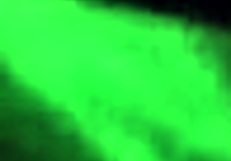 Amateur BBW MILF Scarlet Doll intensely deepthroats a big cock