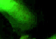 fucking the s out her