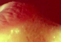 Cheating Wife Swallows Cum In Mouth