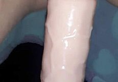 Vicio8586 - Update 4 - Couple Bets 2024