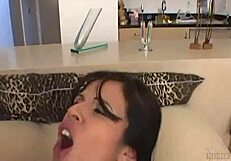 shy love loves anal sex