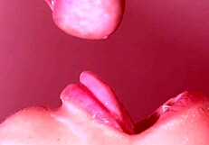 Cheating Wife Swallows Cum In Mouth