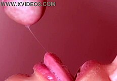 Japanese Story About Baseball Fan