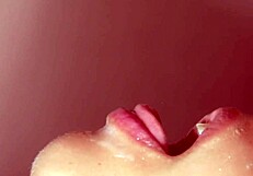 Japanese Story About Baseball Fan