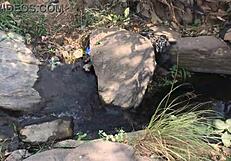 Big Cock Quickie By Riverside!