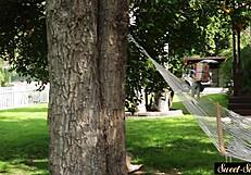 Classy teen fucking outdoors in missionary position!