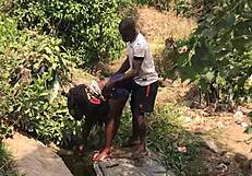 Big Cock Quickie By Riverside!