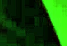 Lick those dirty feet now!