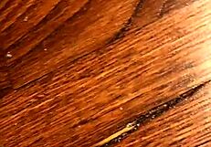 Lick those dirty feet now!