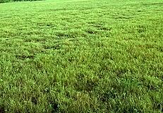 major reality teen story unfolds in narrative style