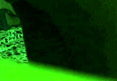 i enjoy sexy shemale