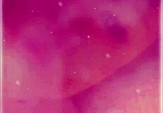 Amateur licks big black cock before homemade interracial fucking