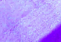 Wonderful Redhead Fucking Her Pussy - Lord Kenobi