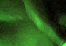 Phat Ebony Booty Bubble Butt Bbw Gets Monster Cock!