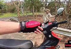 amateur asian teen fucks her big-dick european boyfriend after a day out