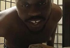 Cooking with llamasr after dark for free