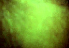 Old Stepfather Fucks 18-Year-Old Latina Stepdaughter Alone at Home