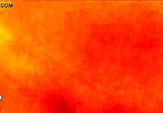 riley reid's very first adult video debut