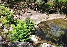 Hunt for young 18+ mom she was taken by surprise