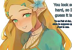Joi Princesse Zelda Traduit Instructions