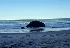 Belch Praia Dia De Relaxar