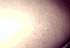 can this big cock tease wet pussy